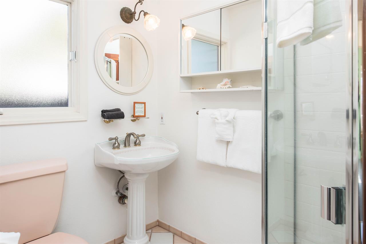 Downstairs Bathroom has a Shower