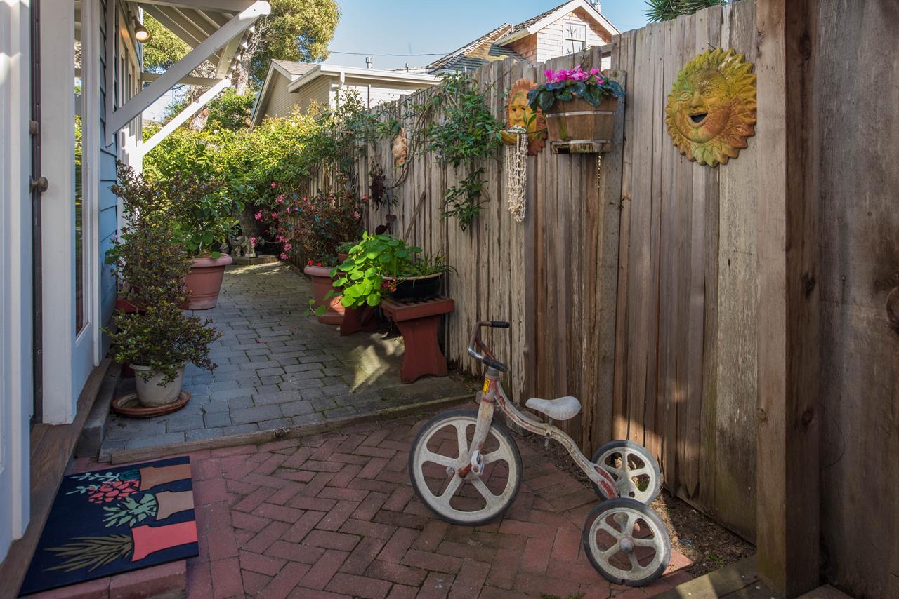 Outdoor Patio with a VineCovered Wood Fence for Privacy