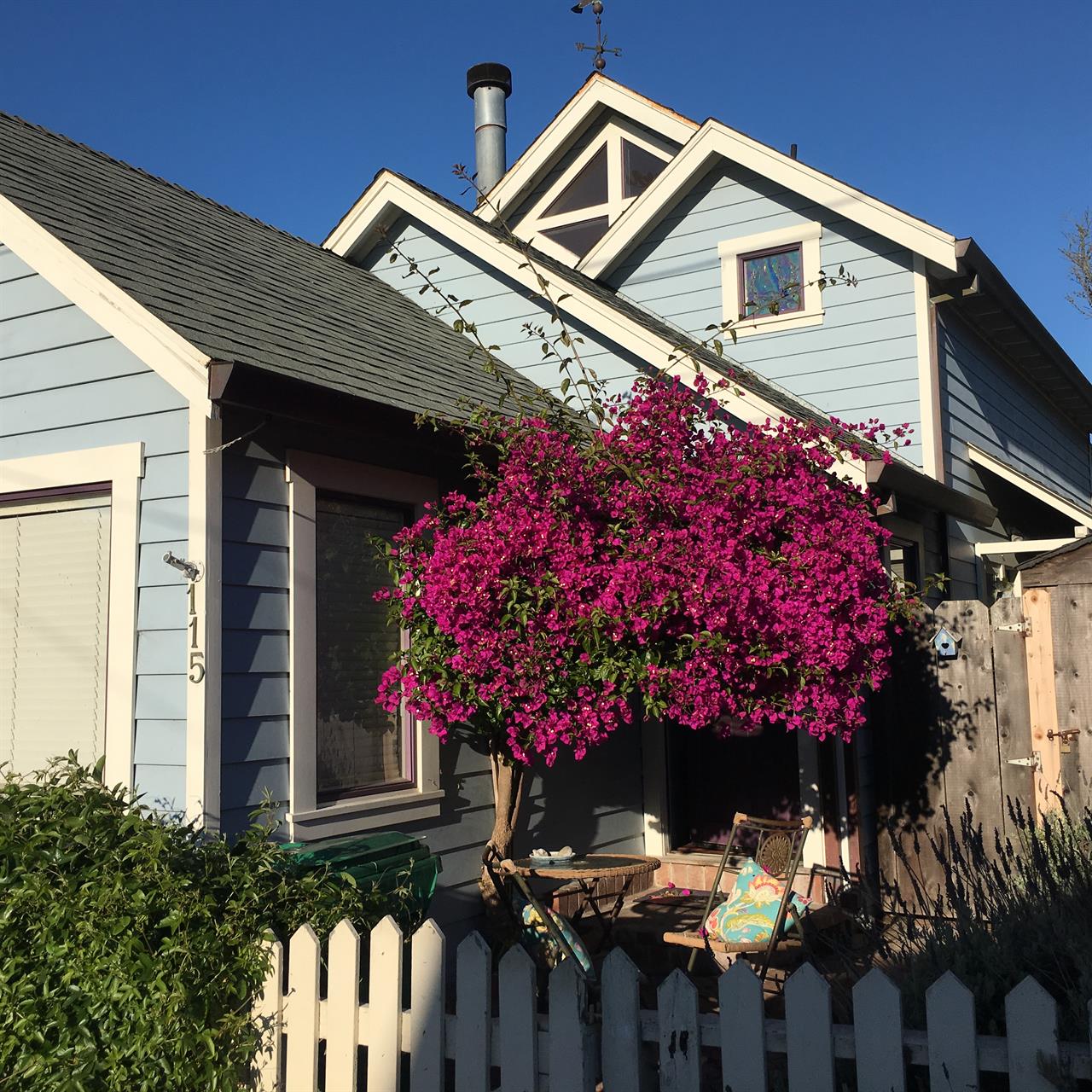 Geraniums, Bougainvillea and Lavender in the Gardens