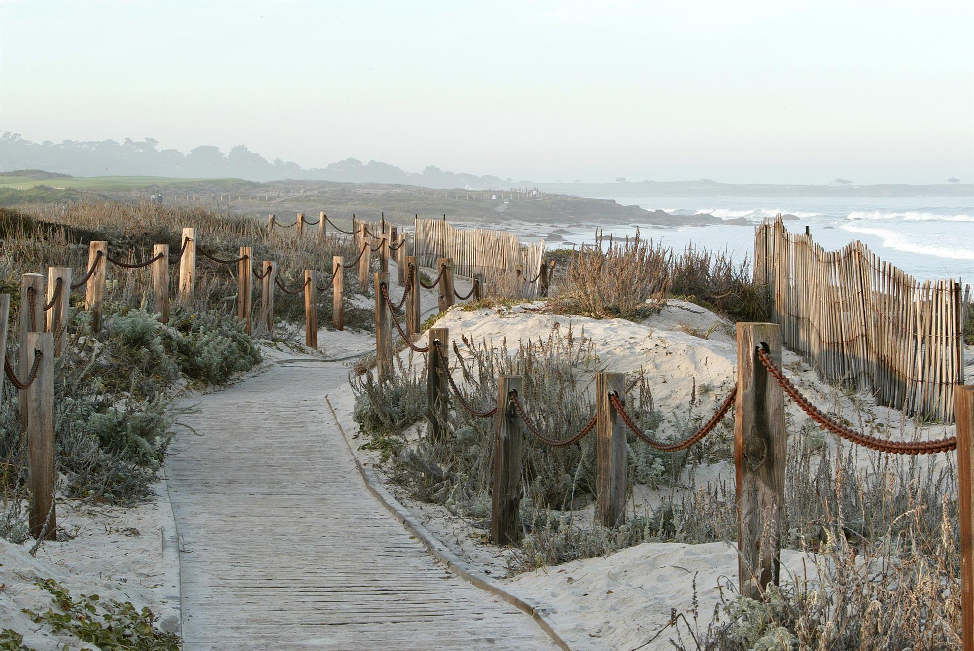Asilomar Beach  Pacific Grove