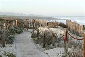 Asilomar Beach  Pacific Grove