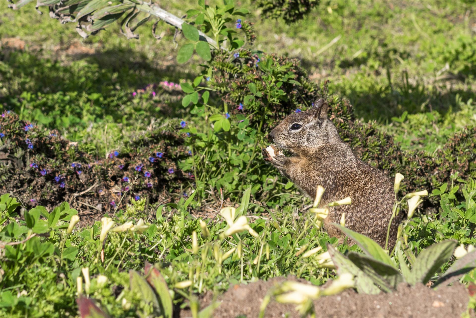 Friendly Neighbors