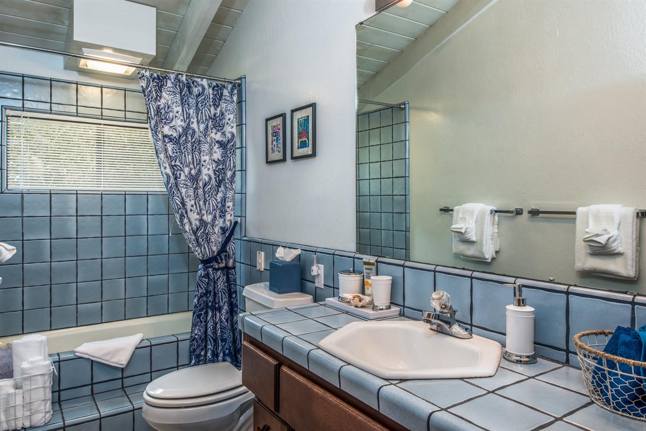 Main Hall Bath with Shower Over Tub