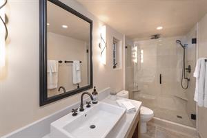 En Suite Bath with Shower, Downstairs
