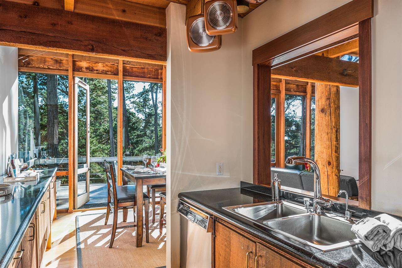 Views of the Forest from the Kitchen