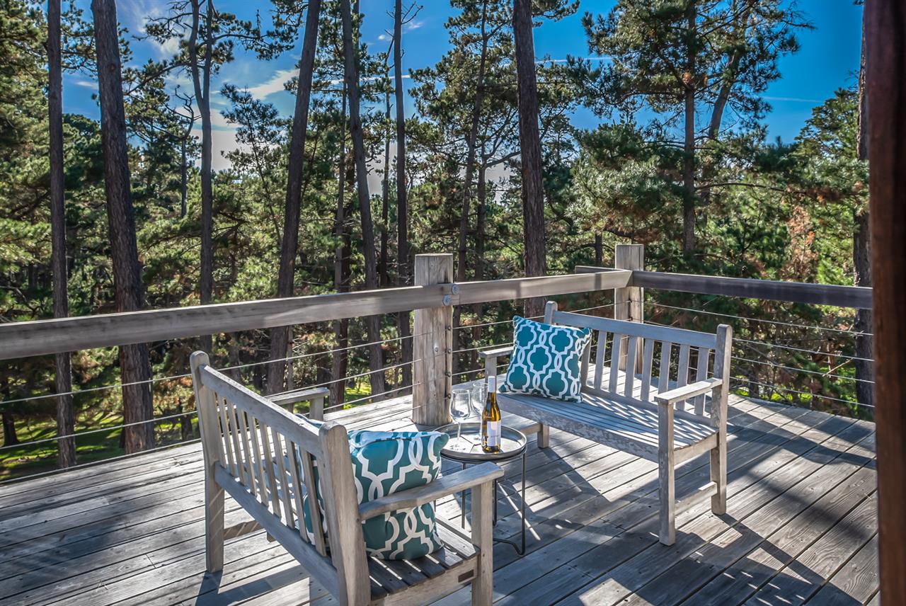 Peaceful Outdoor Space Overlooking the Pines