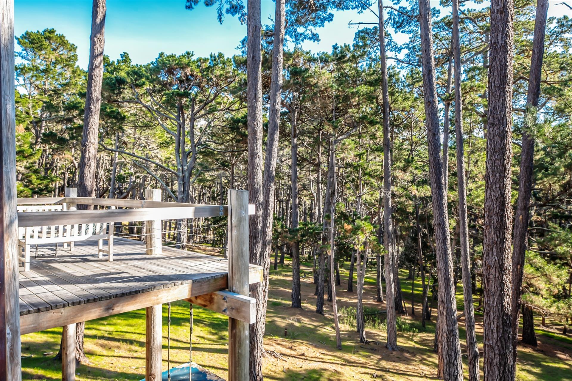 Peaceful Property Backs Up to a Green Belt