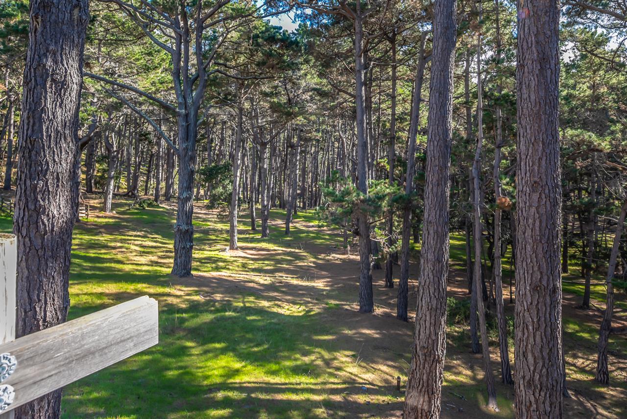 Enjoy the Songs of Birds and the Sightings of Deer