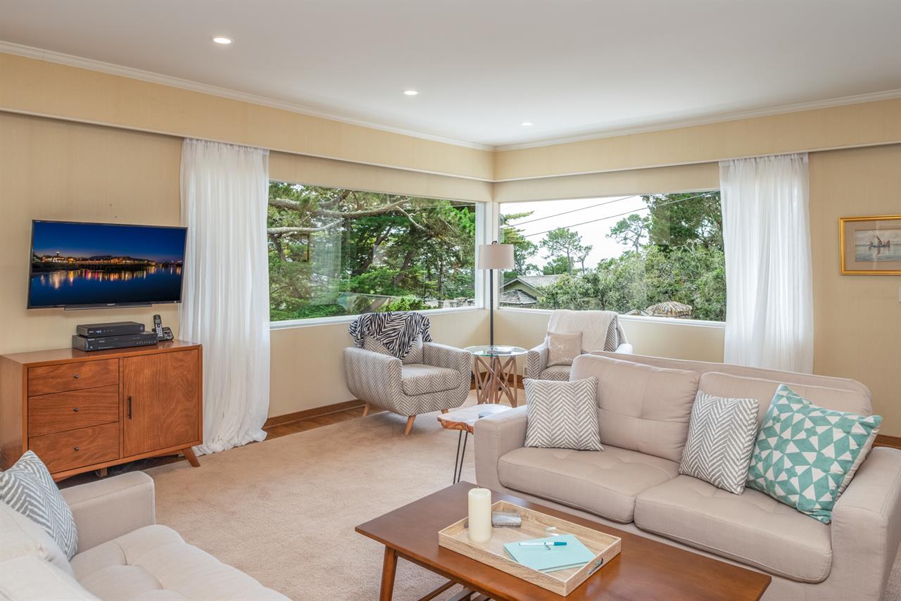 A Peek of the Ocean Through the Trees