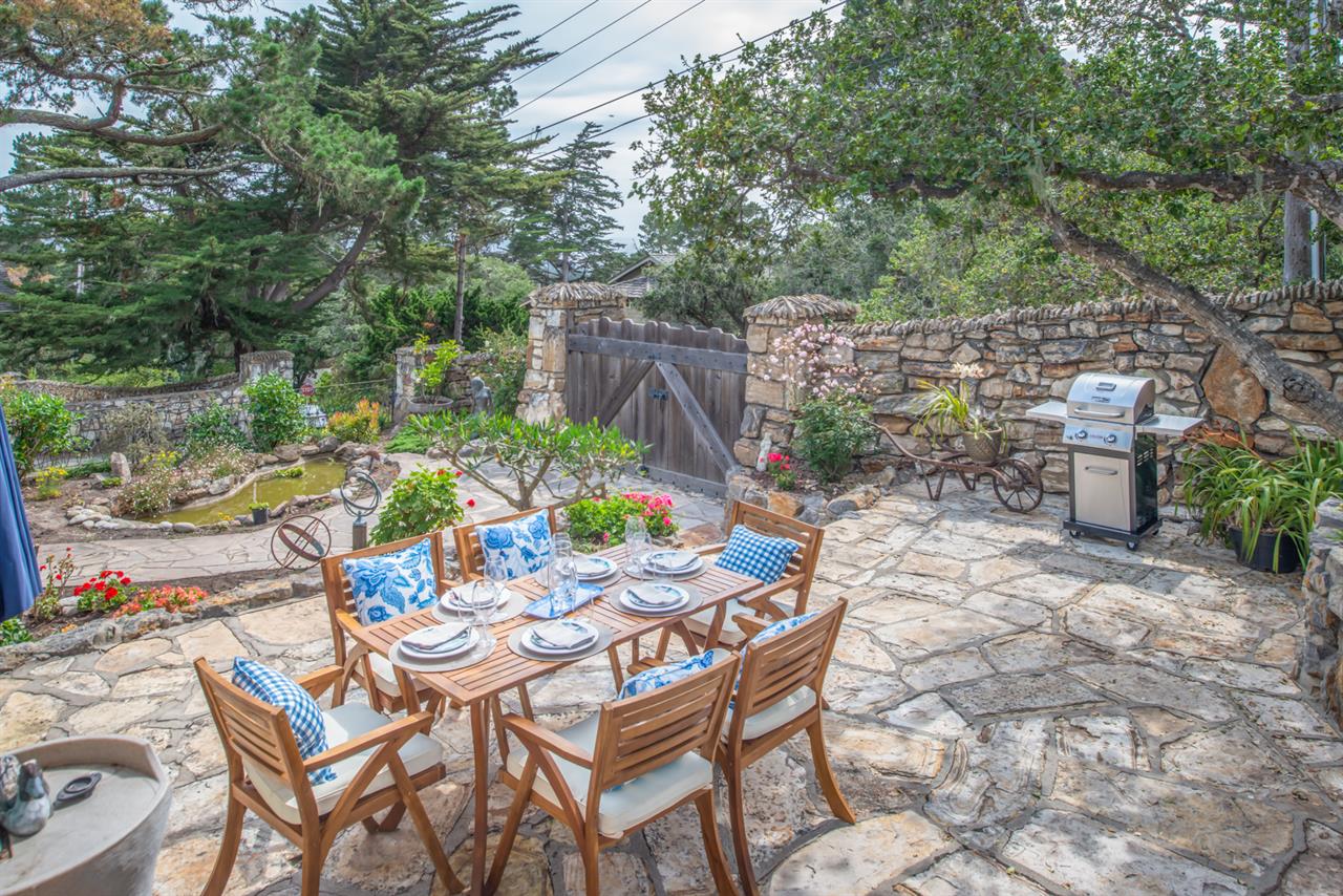 Outdoor Dining Set Up and Propane Grill