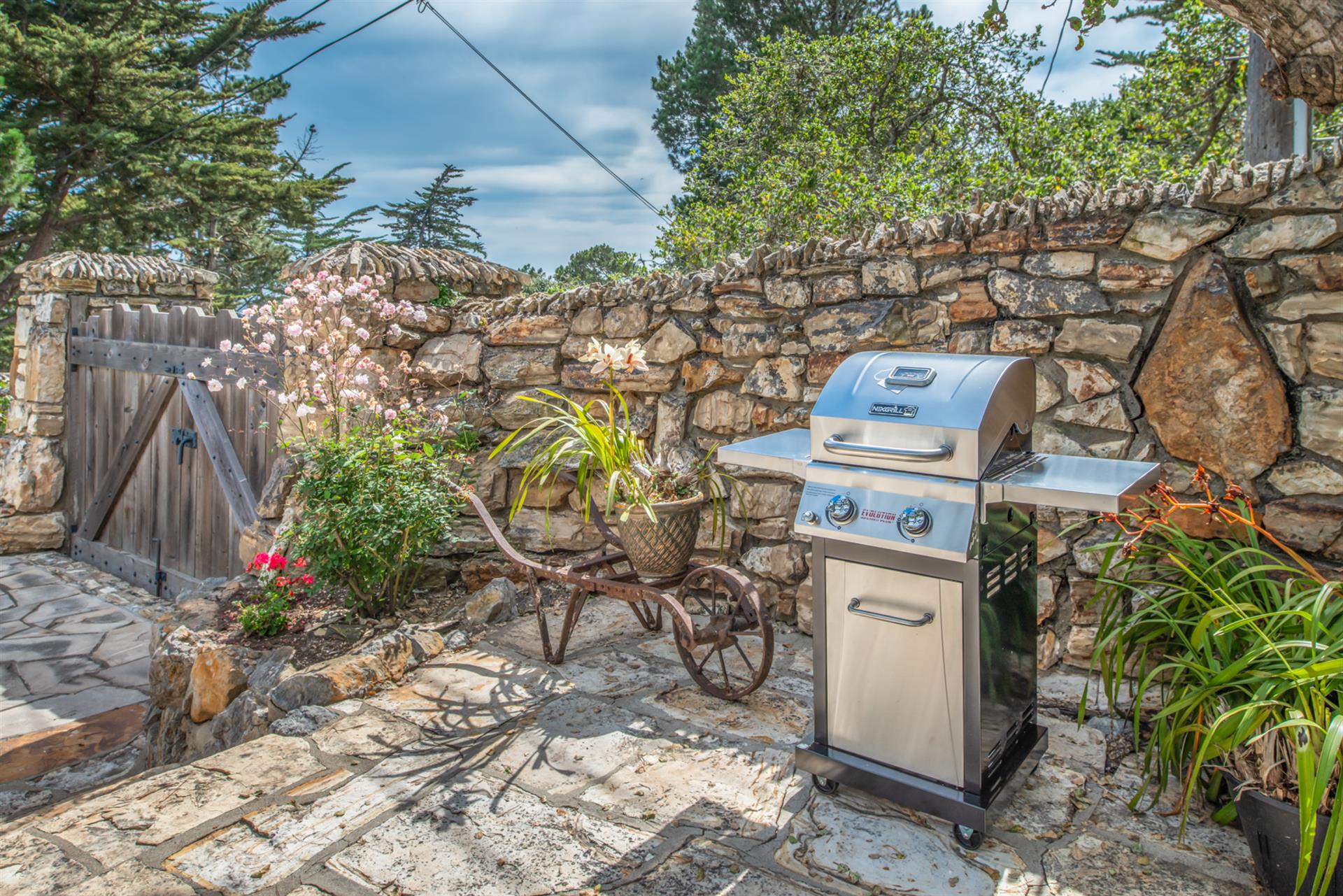 Propane BBQ Grill