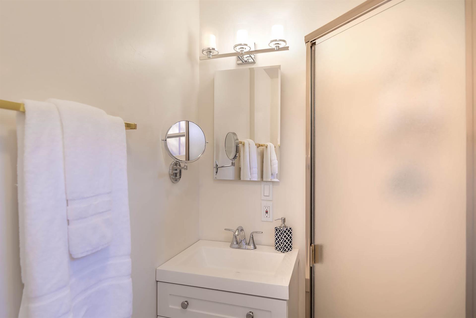 Guest Suite Bathroom with Shower