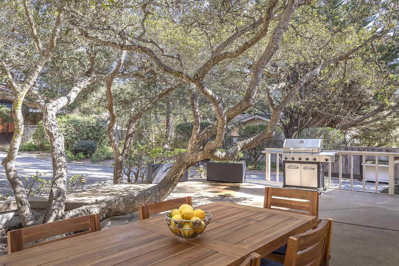 Backyard Patio Dining Area with Propane Grill