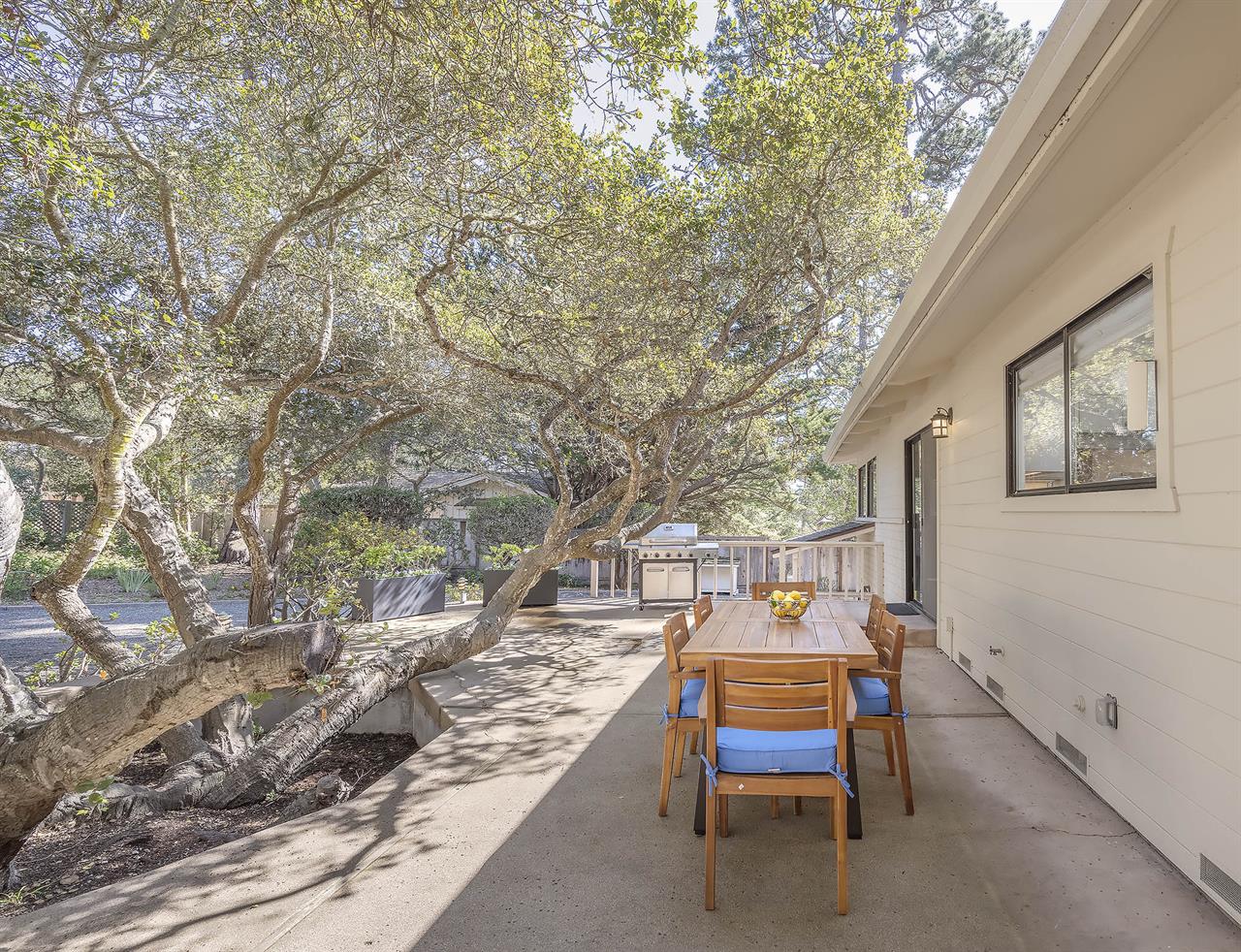 Backyard Patio Dining Area with Propane Grill