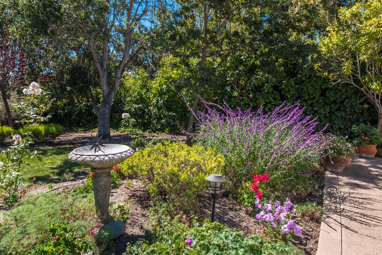 The Garden is its Own Private Retreat