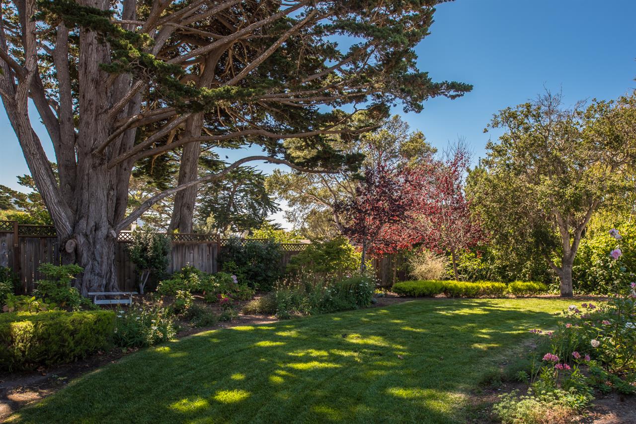 Backyard is Fenced and Landscaped for Privacy
