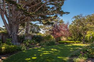 Backyard is Fenced and Landscaped for Privacy