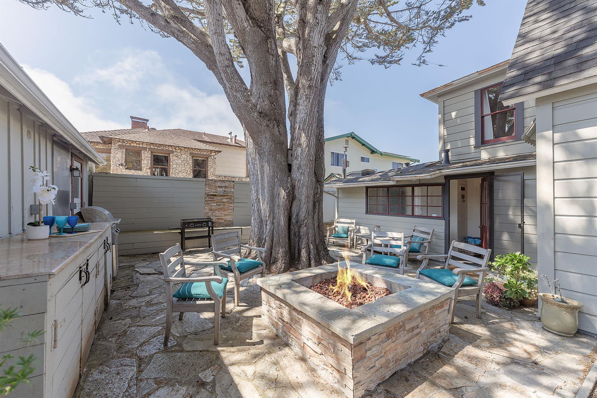 Backyard  Dining Area and FirePit