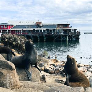 30756 Svr_fall2022_4103 S