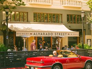 30760 Alvaradobanner S