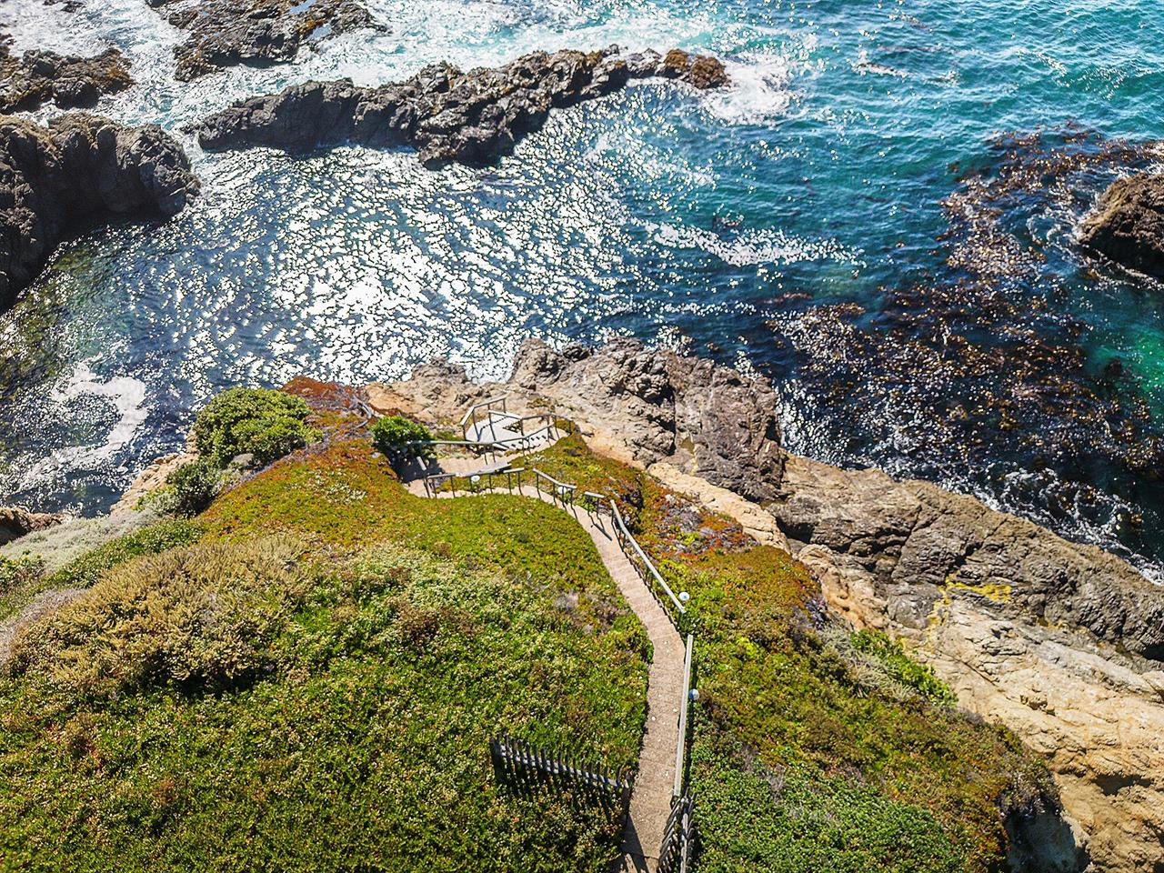 Trail Down to the Water from the Backyard