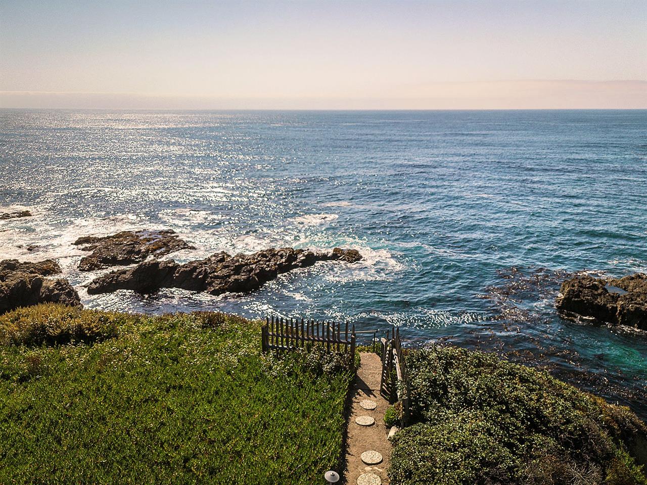 Trail Down to the Water from the Backyard