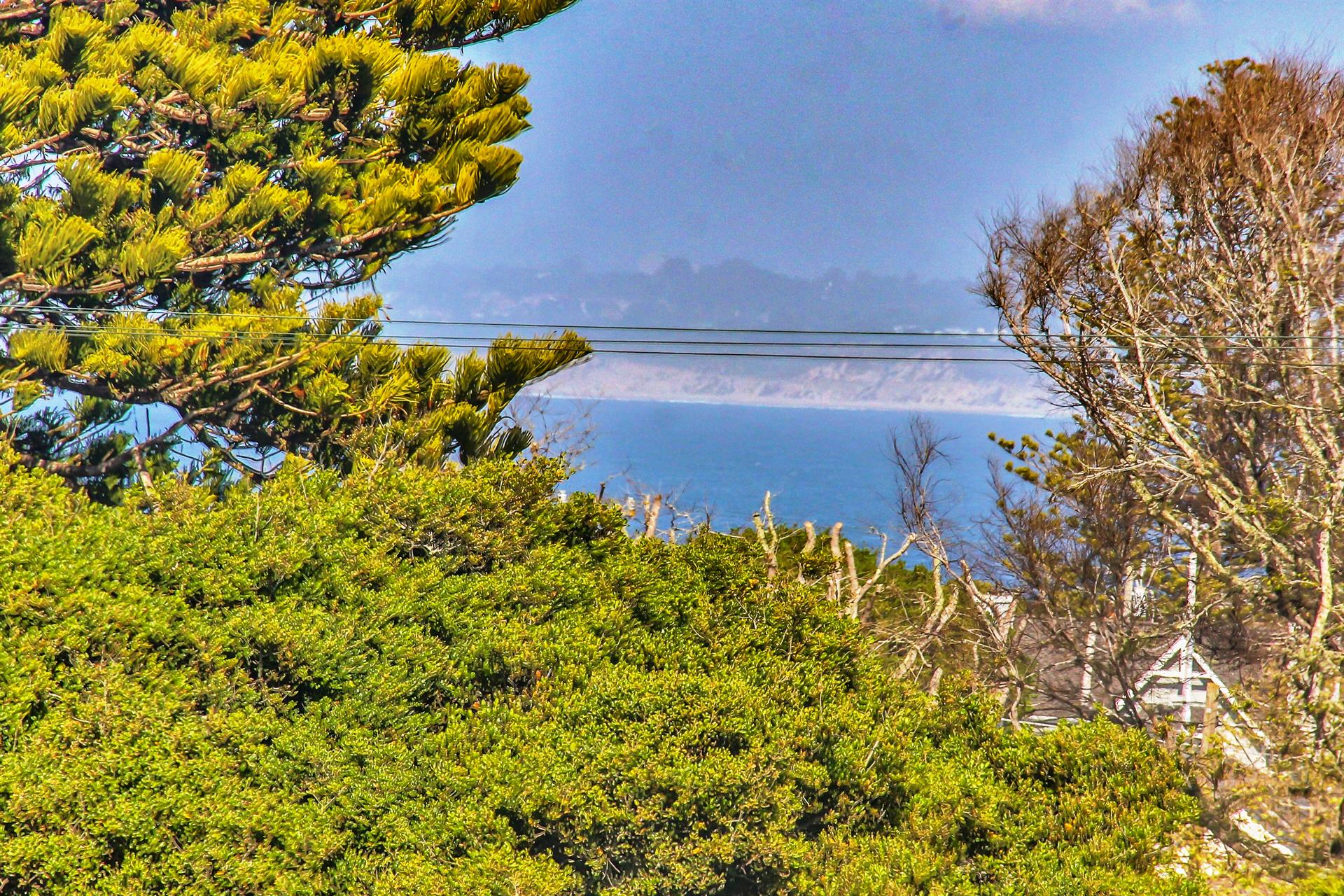 Peeks of Monterey Bay