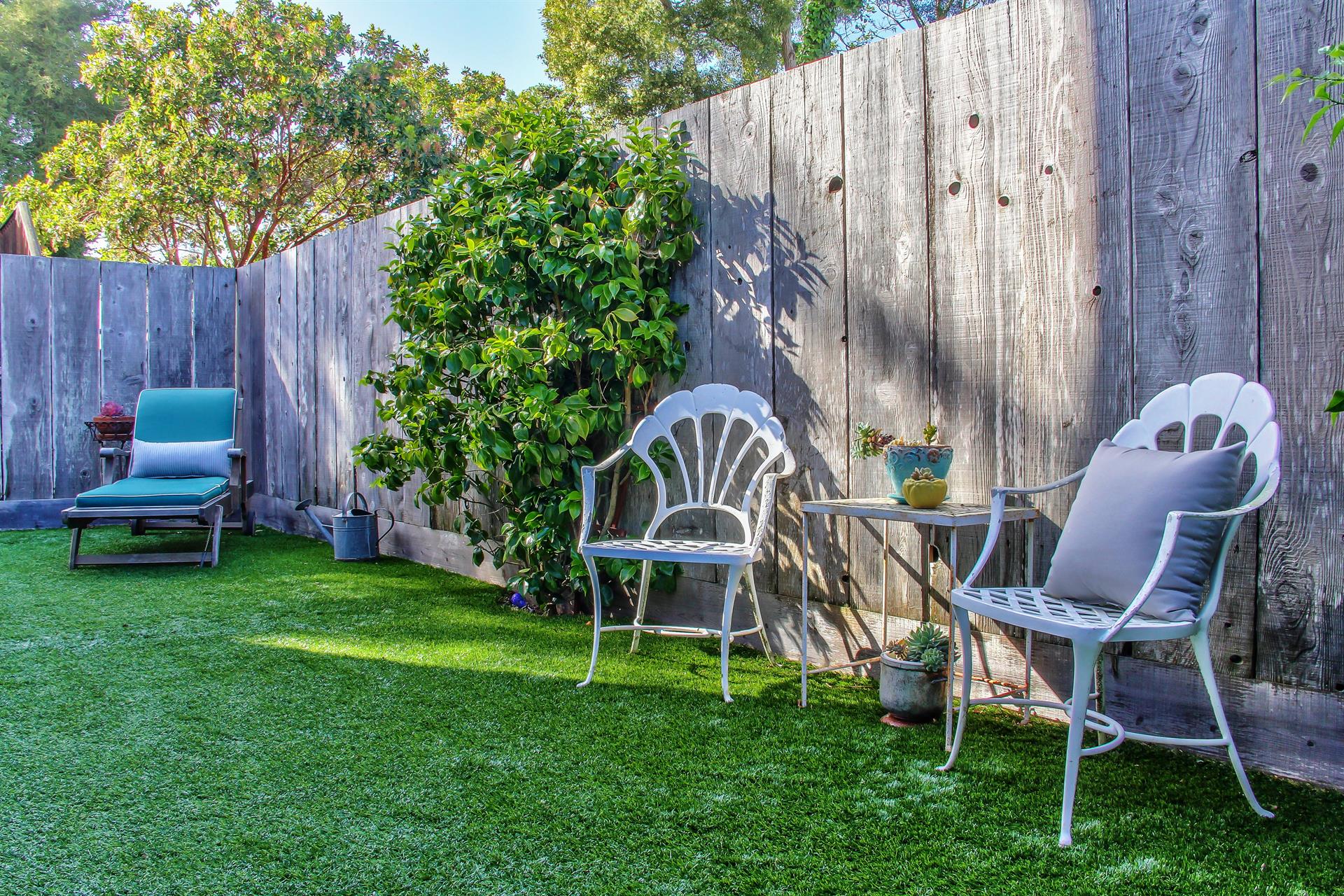 Enclosed Backyard with Synthetic Turf