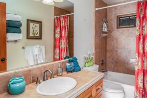 Hall Bath, ShowerOverTub Combo