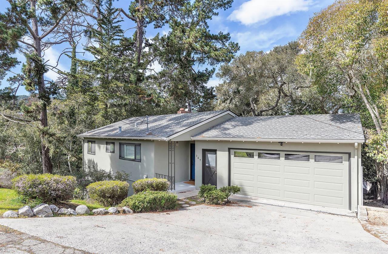 Welcome to Window to the Woods