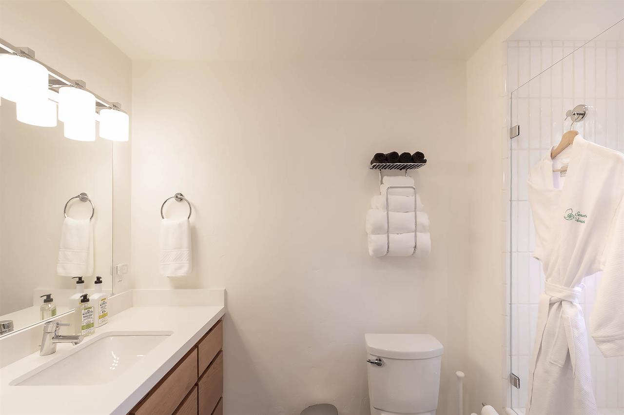 Downstairs Full Bath with Shower