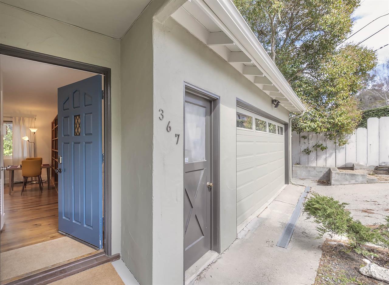 Welcome to Window to the Woods