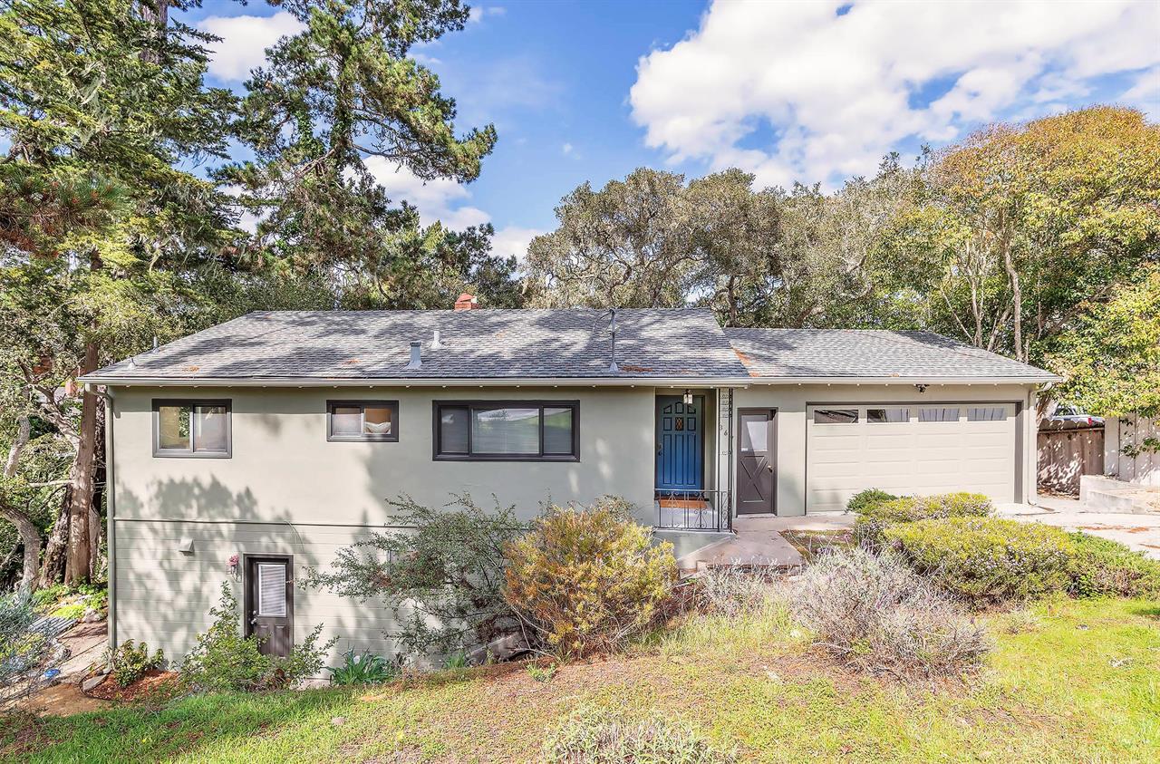 Welcome to Window to the Woods