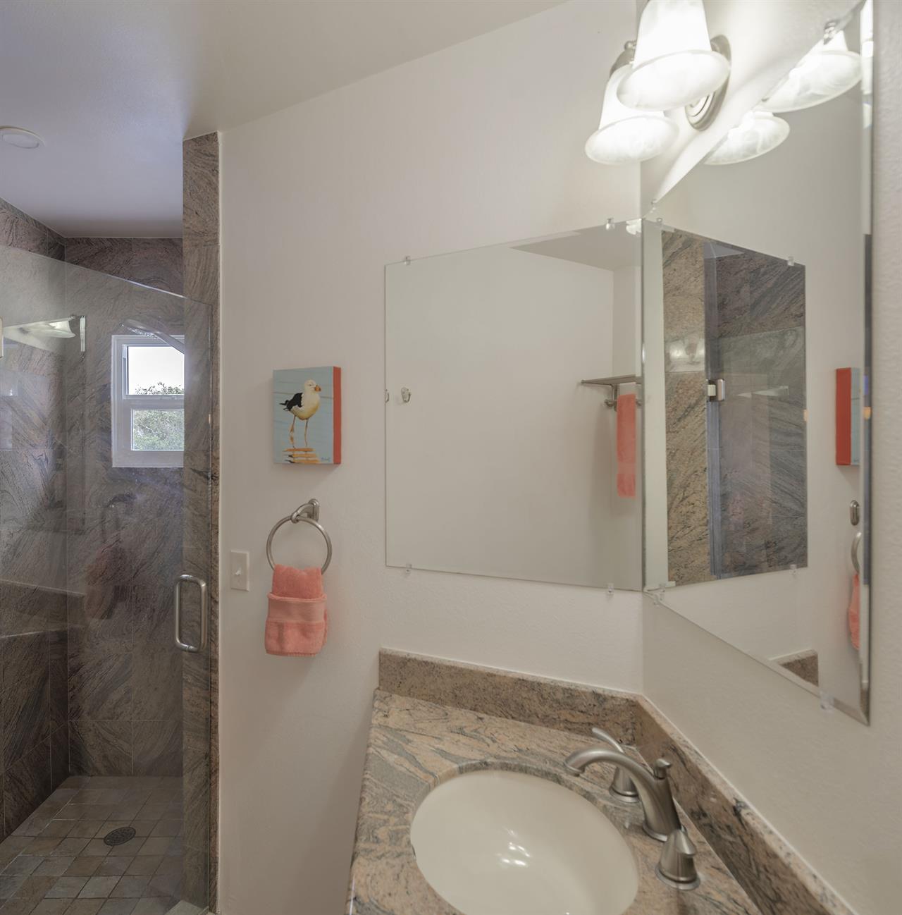 Guest Bath with Shower