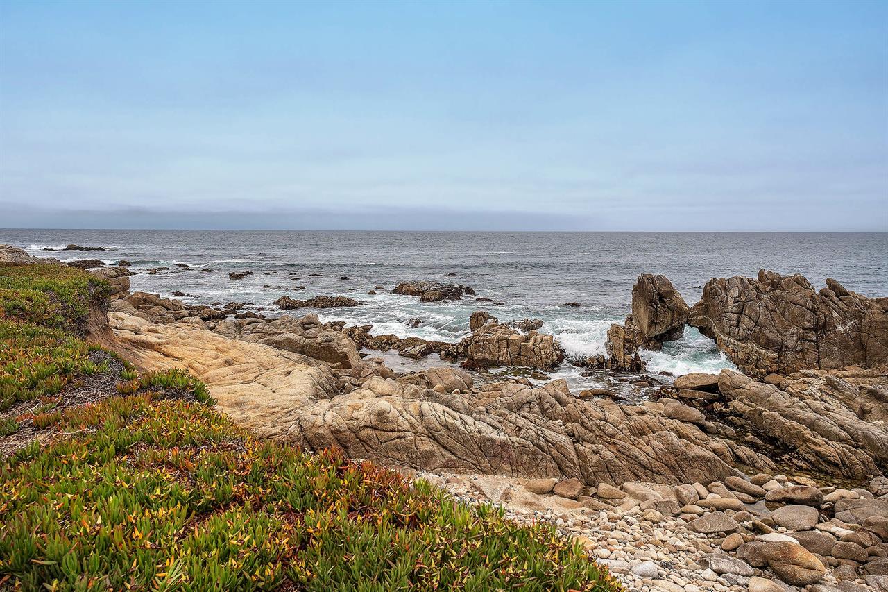 Just a Short Walk to the Bay