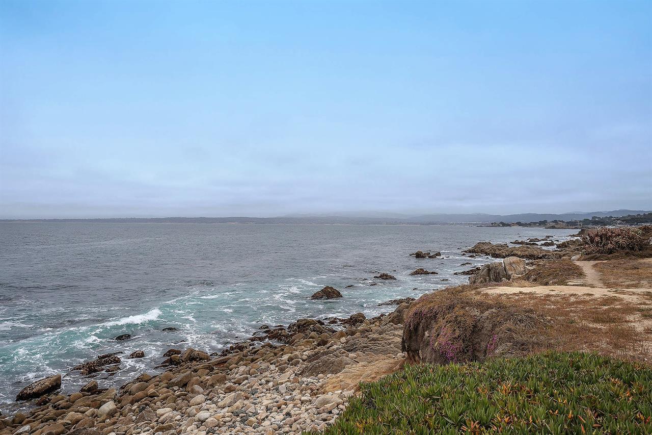 Just a Short Walk to the Bay