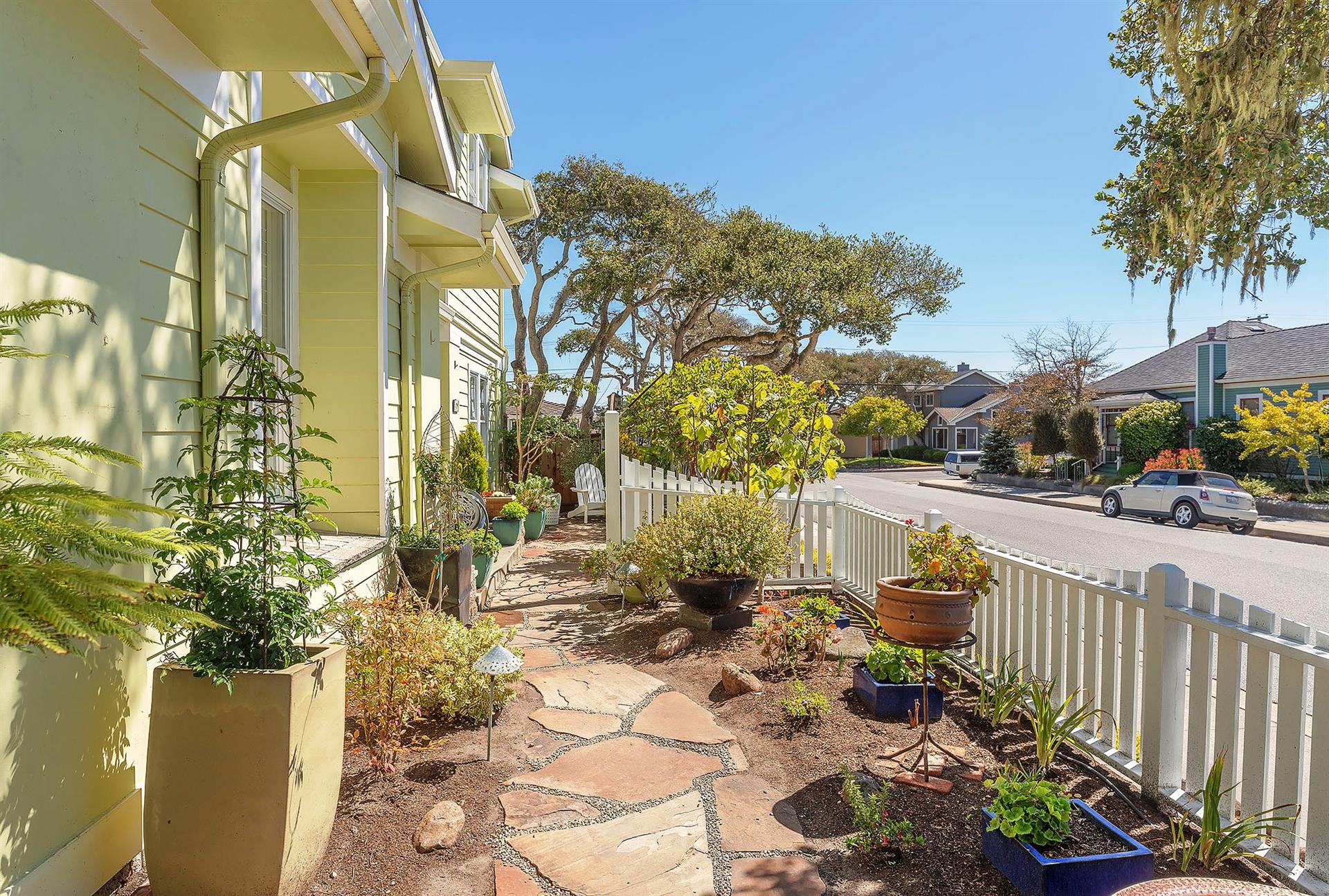 Lovely Yard