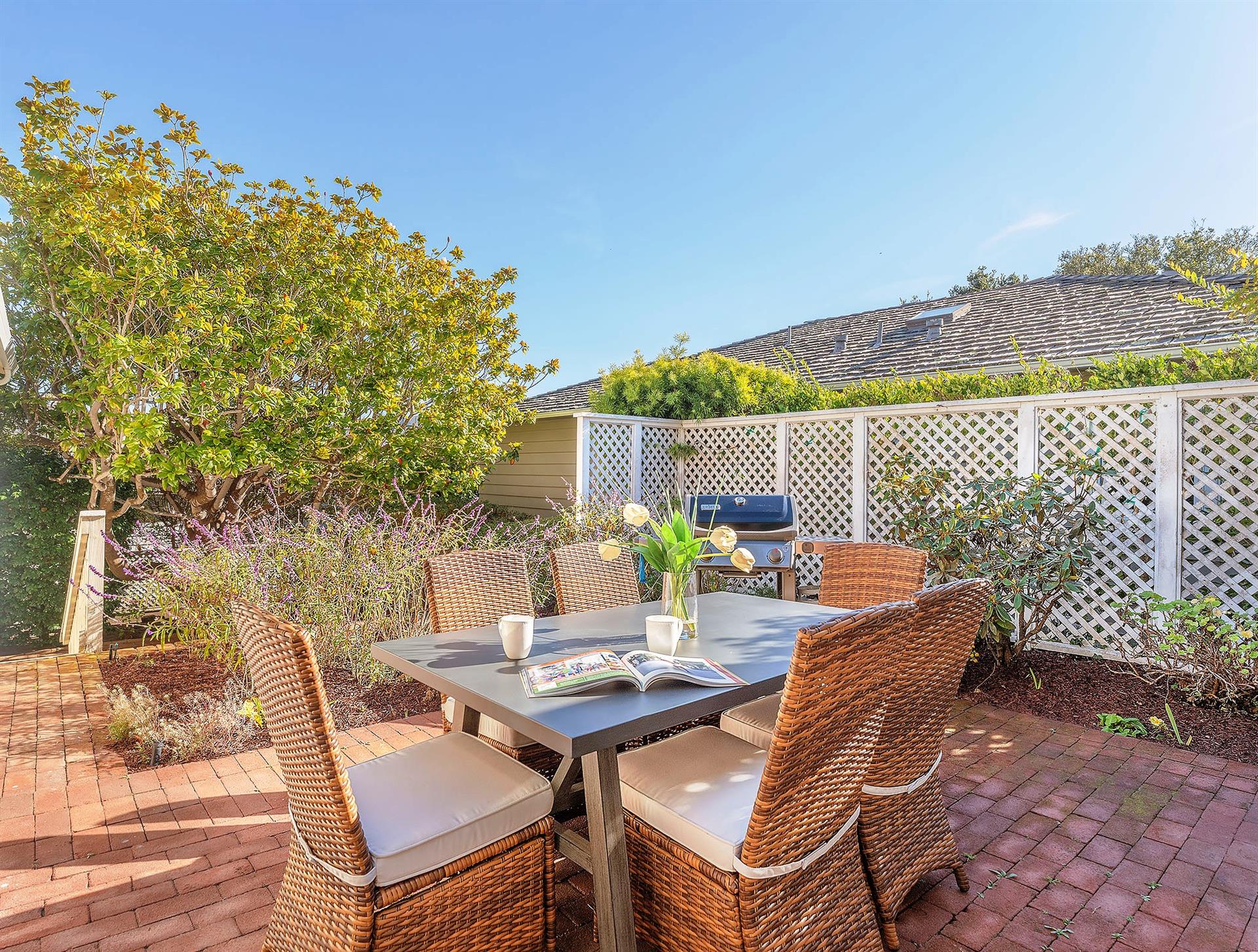 Outdoor Patio with Gas Grill
