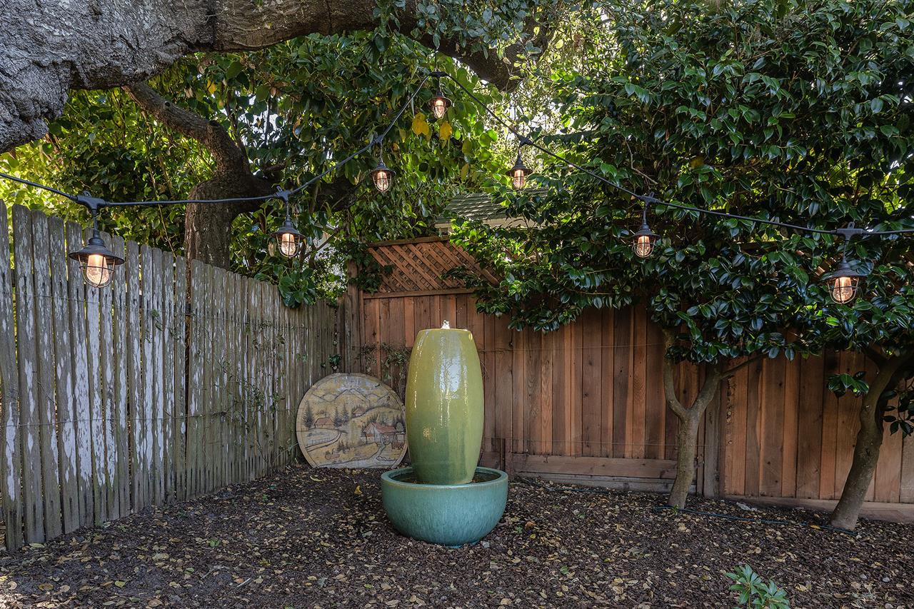 Backyard Water Fountain