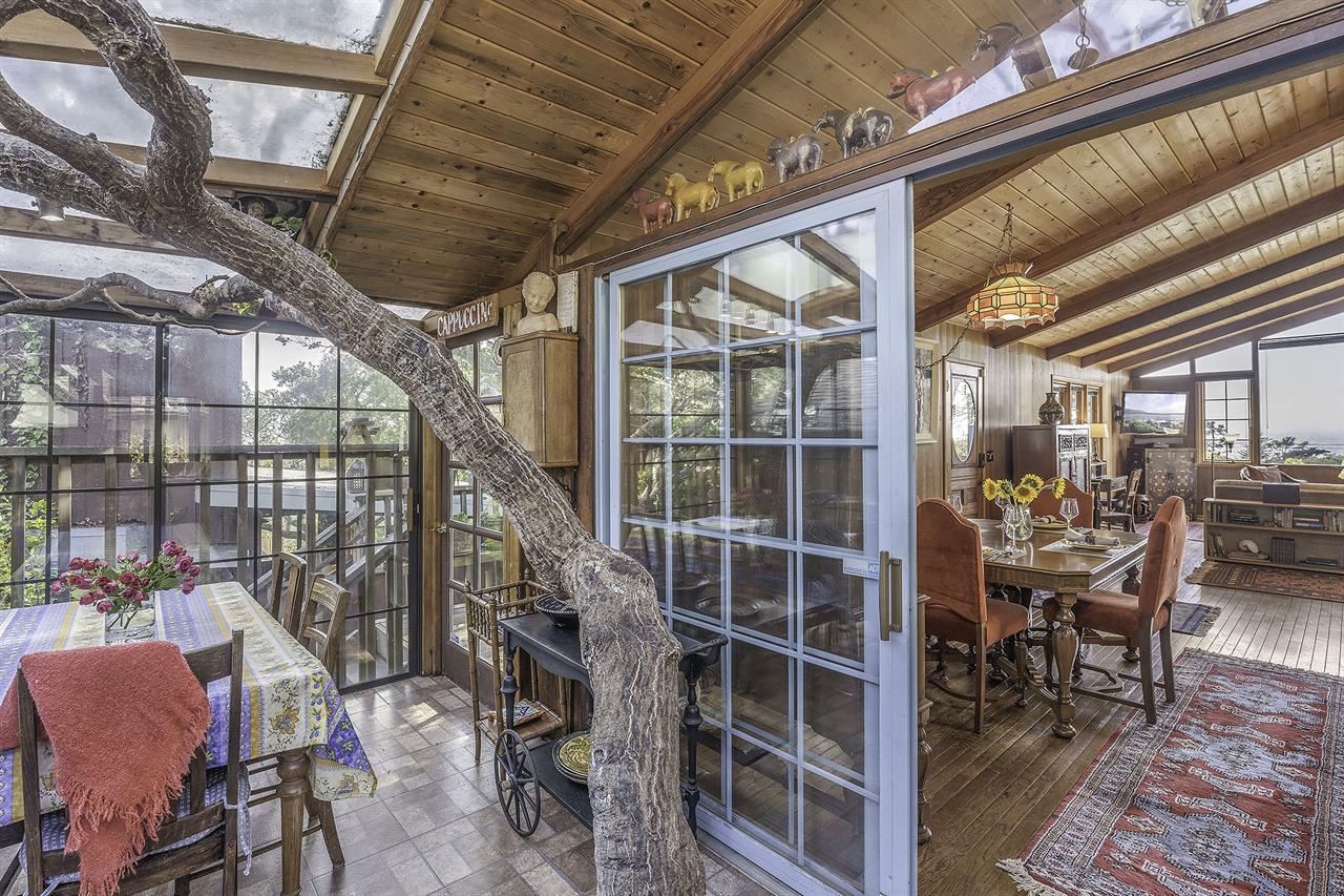Enclosed Sun Porch with Live Tree