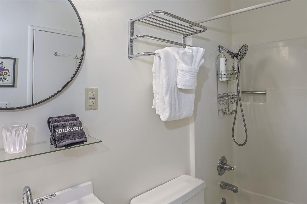 Bathroom 2  Shower Over Tub  Lower Level