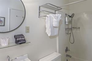 Bathroom 2  Shower Over Tub  Lower Level