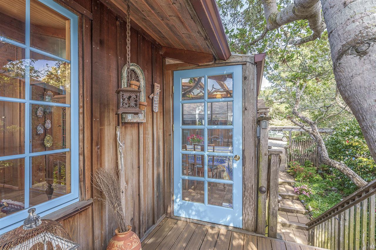 Welcome to Lucys Treehouse