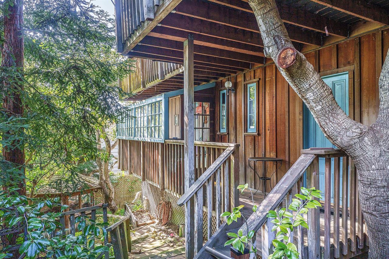 Welcome to Lucys Treehouse