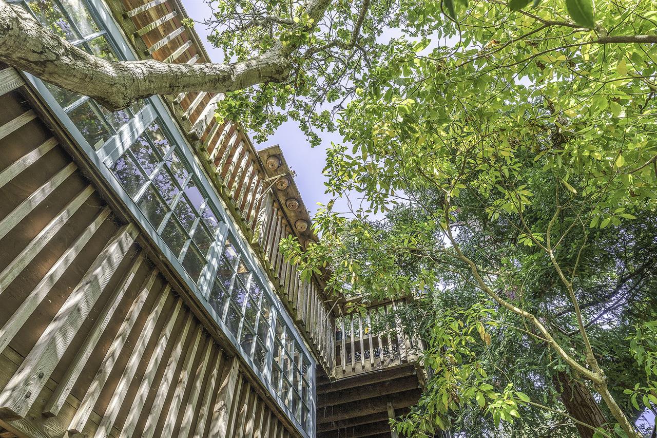 Welcome to Lucys Treehouse