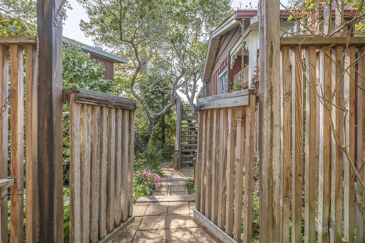 Welcome to Lucys Treehouse