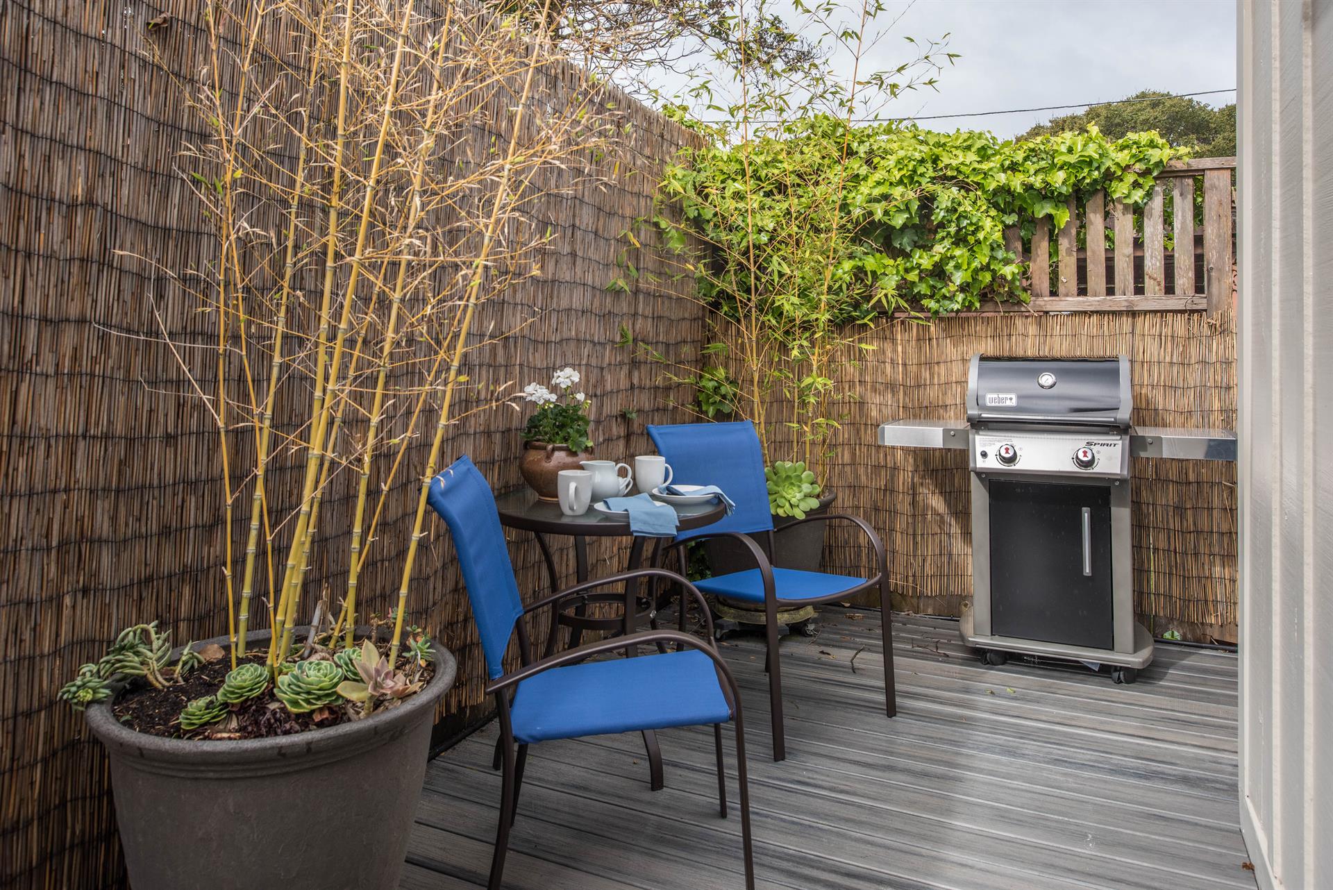 Enclosed Back Deck with Gas BBQ Grill