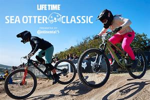 35504 Seaotterherologo S