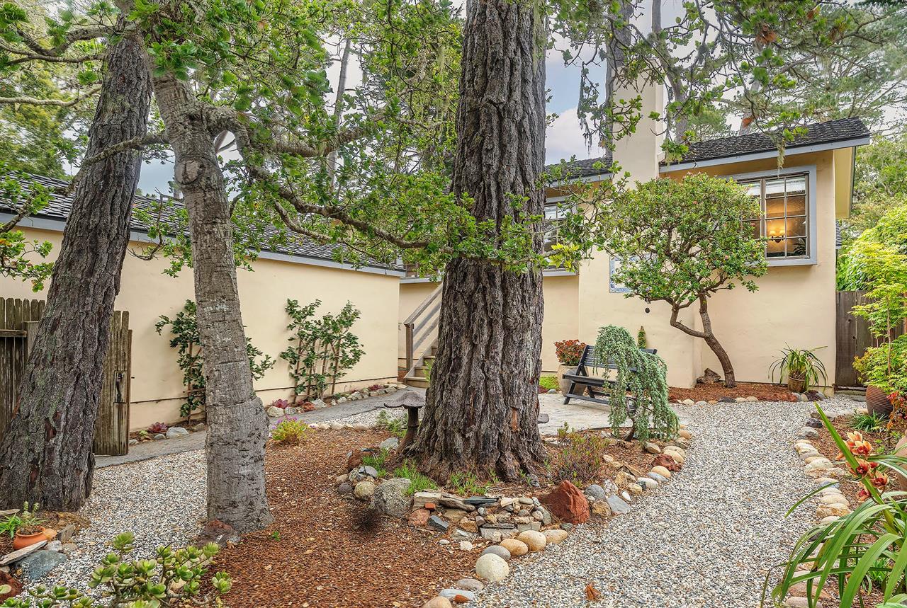Enclosed Front Yard, Patio Area Under the Trees