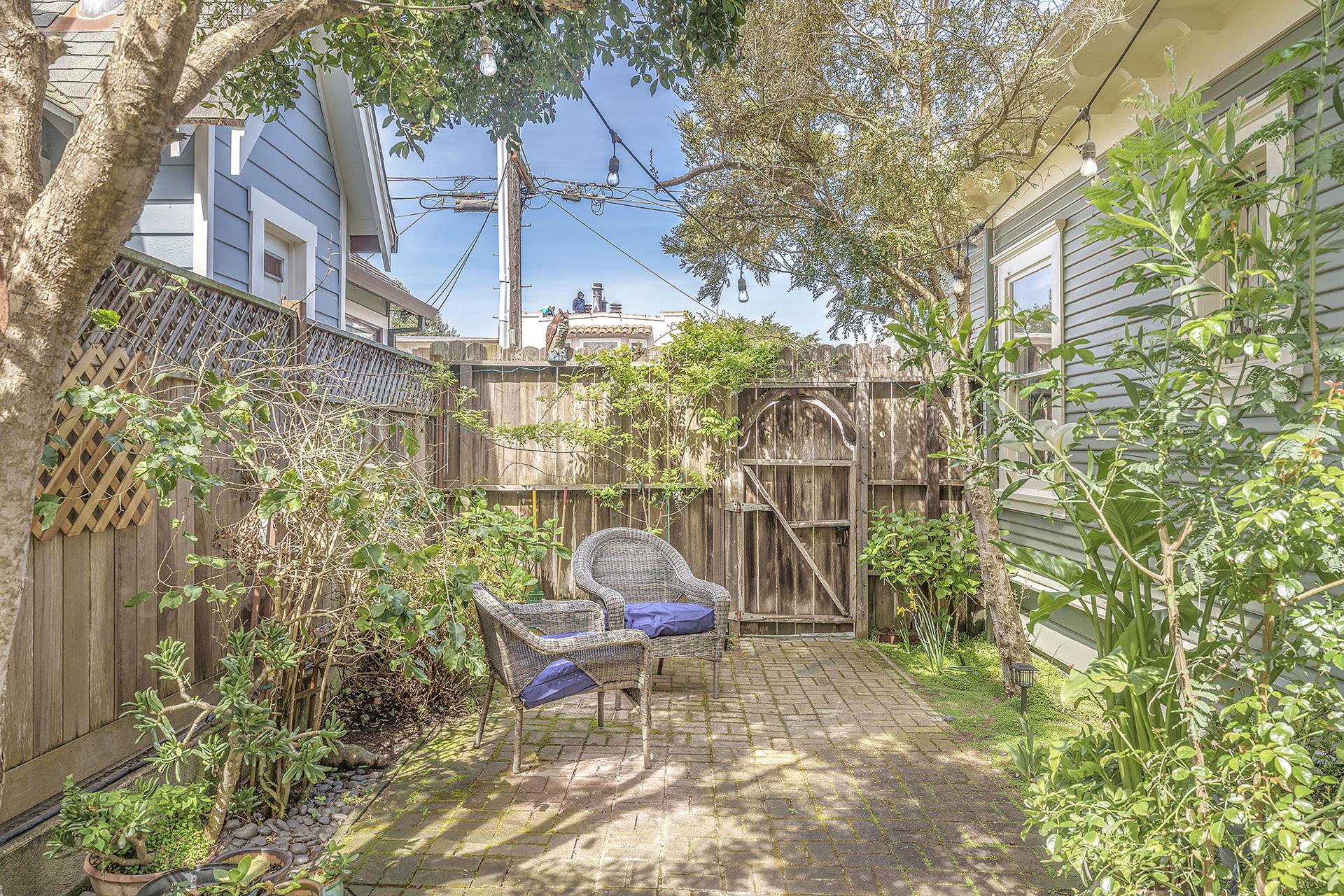 Fenced Back Yard